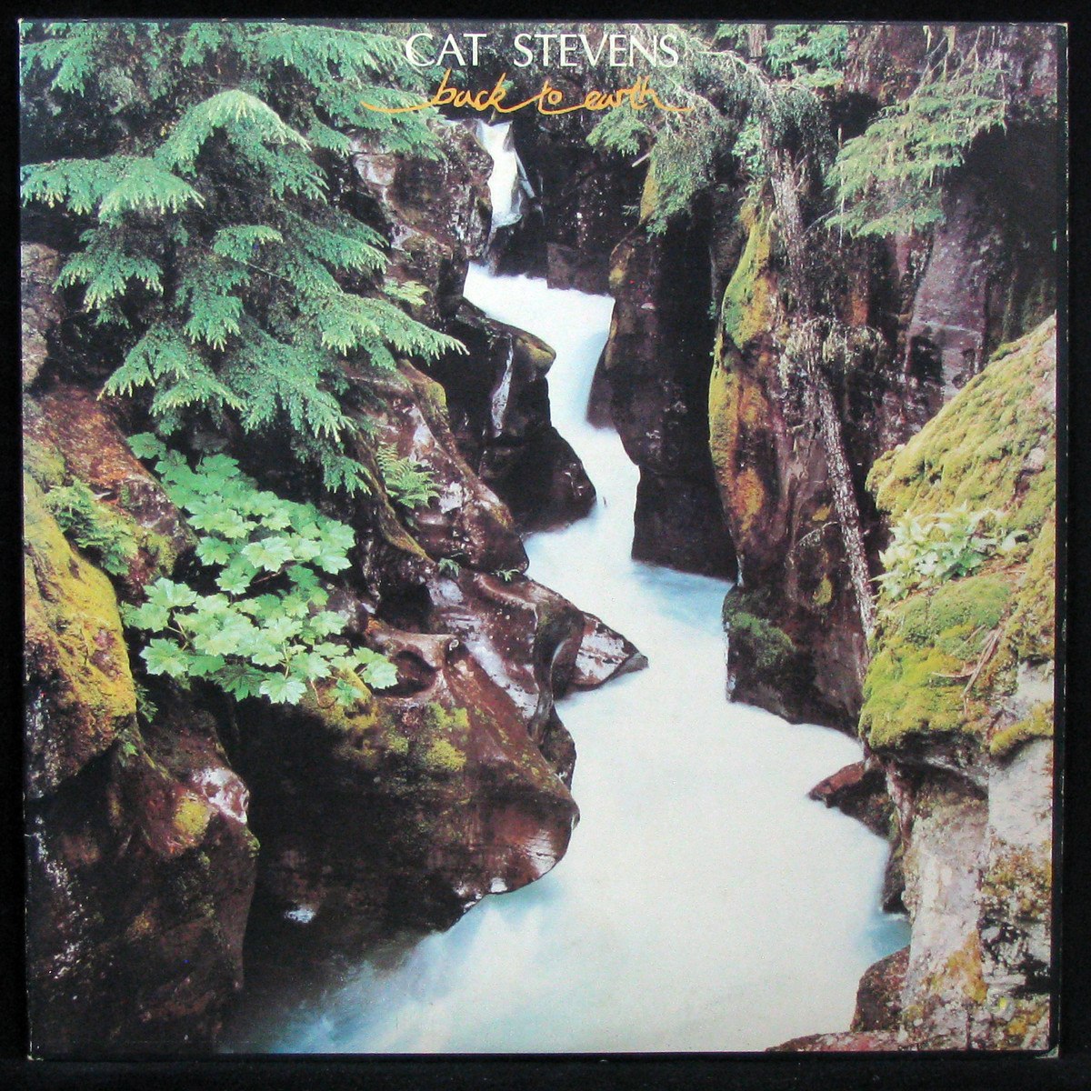 LP Cat Stevens — Back To Earth фото