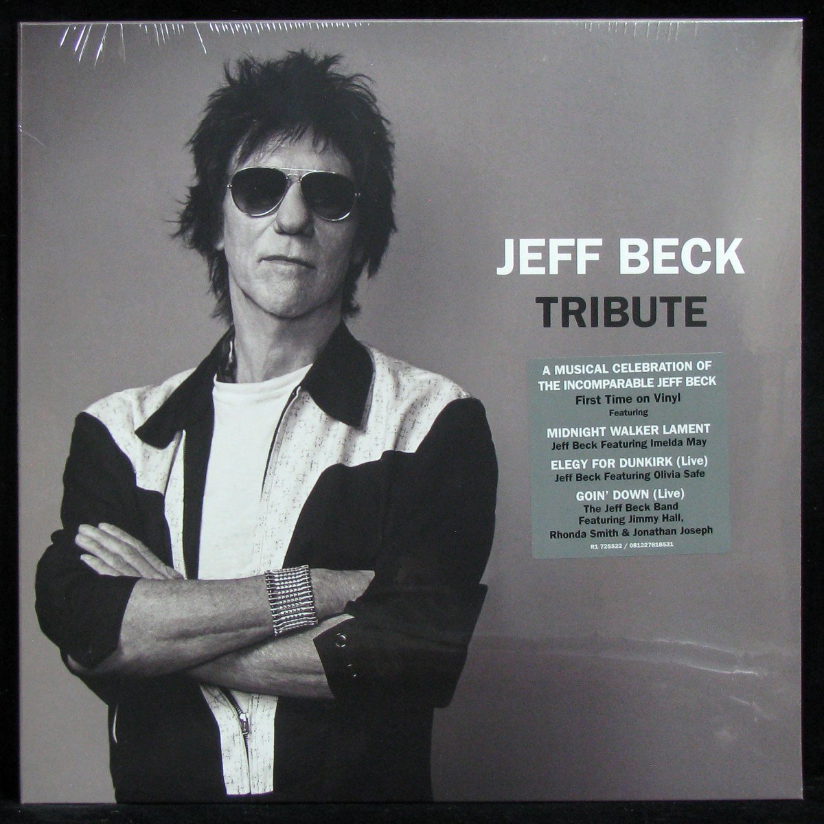 LP Jeff Beck — Tribute фото