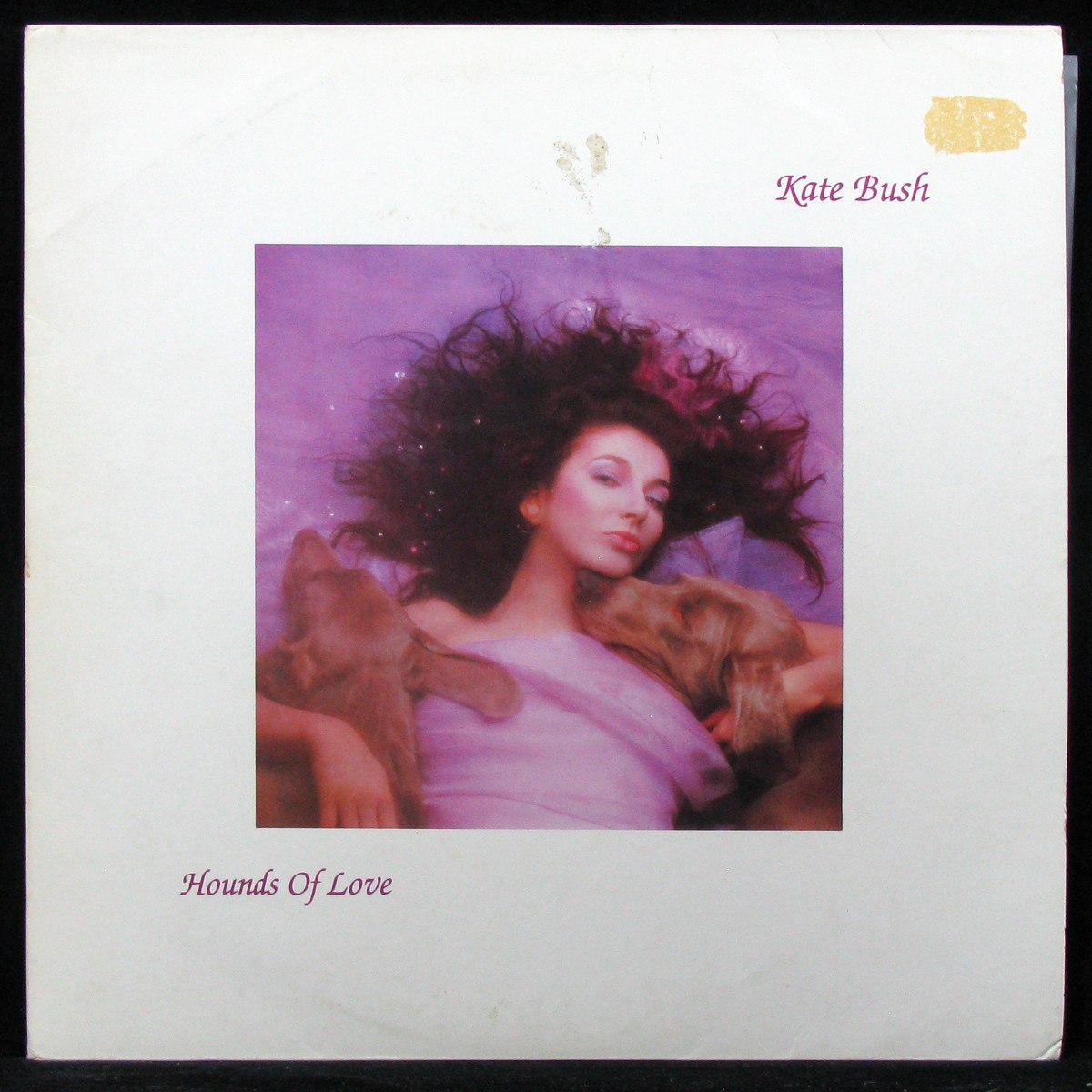 LP Kate Bush — Hounds Of Love фото
