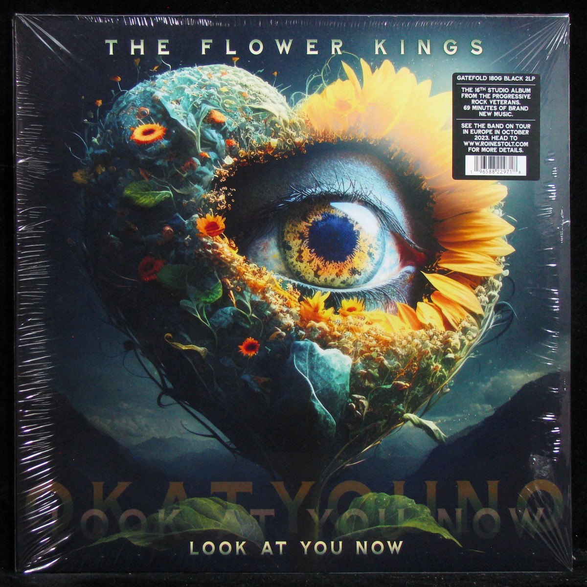 LP Flower Kings — Look At You Now (2LP) фото