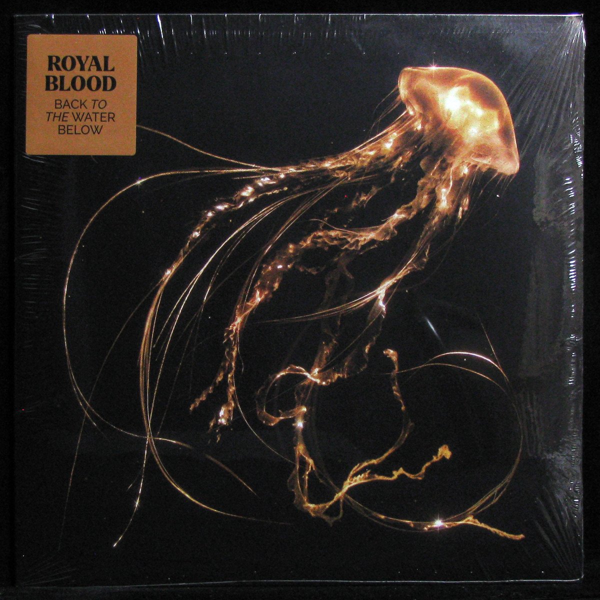 LP Royal Blood — Back To The Water Below фото