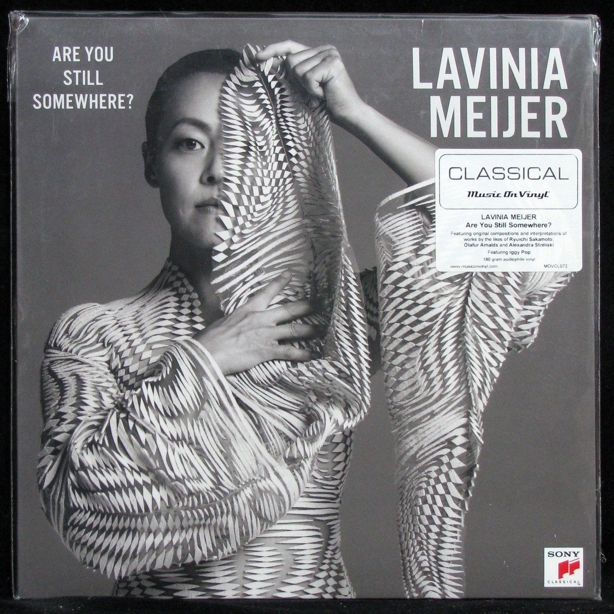 LP Lavinia Meijer — Are You Still Somewhere фото