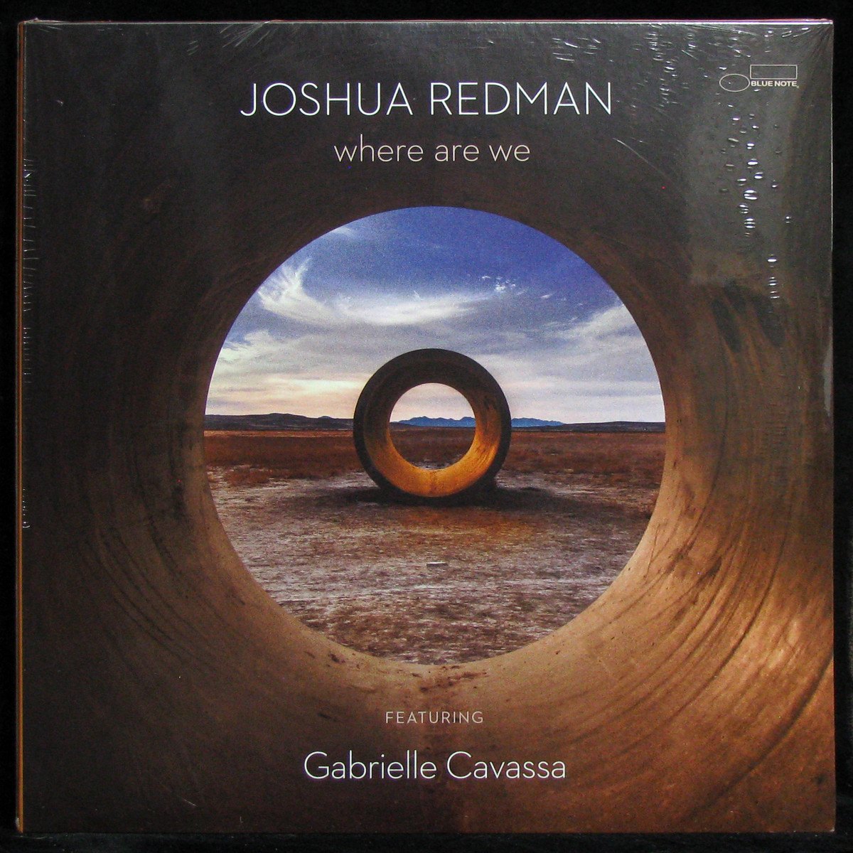 LP Joshua Redman — Where Are We (2LP) фото