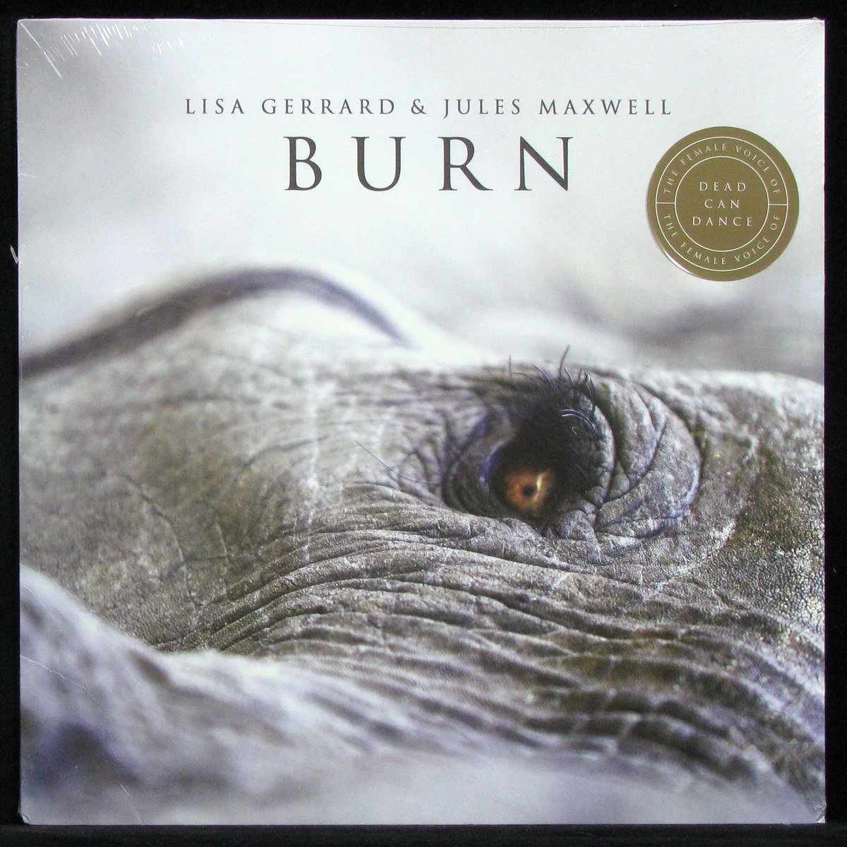 LP Lisa Gerrard & Jules Maxwell — Burn фото