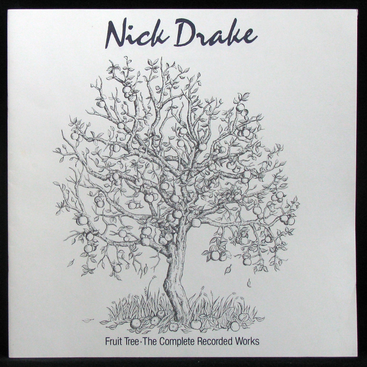 LP Nick Drake — Fruit Tree - The Complete Recorded Works (2LP Box, + booklet) фото 3