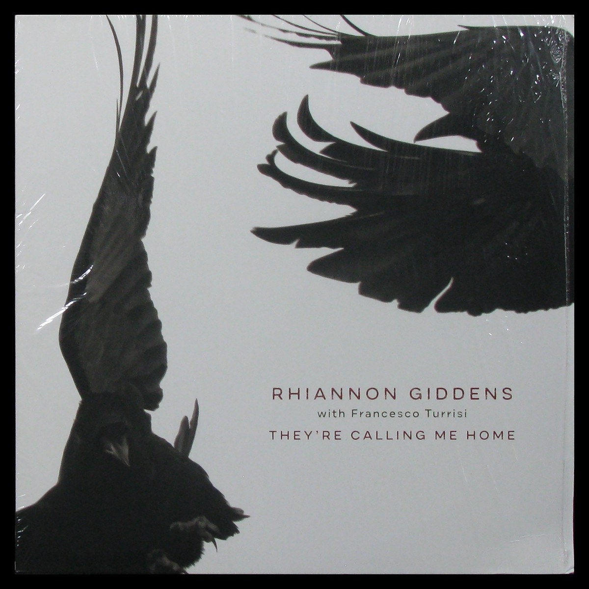 LP Rhiannon Giddens / Francesco Turrisi — They're Calling Me Home фото