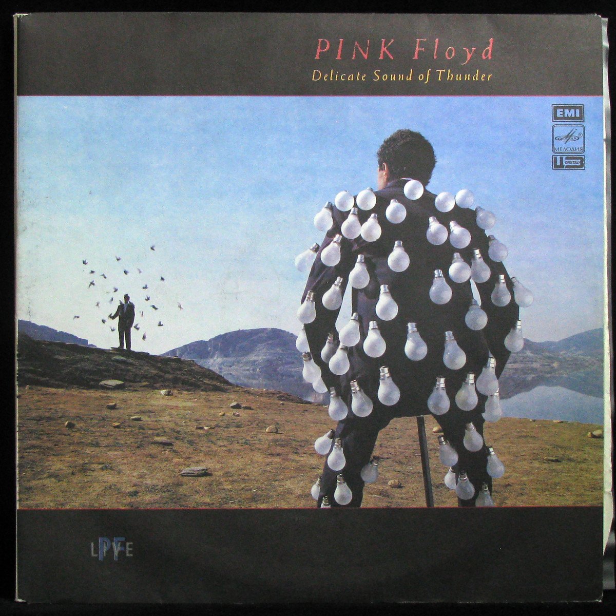 LP Pink Floyd — Delicate Sound Of Thunder (2LP) фото