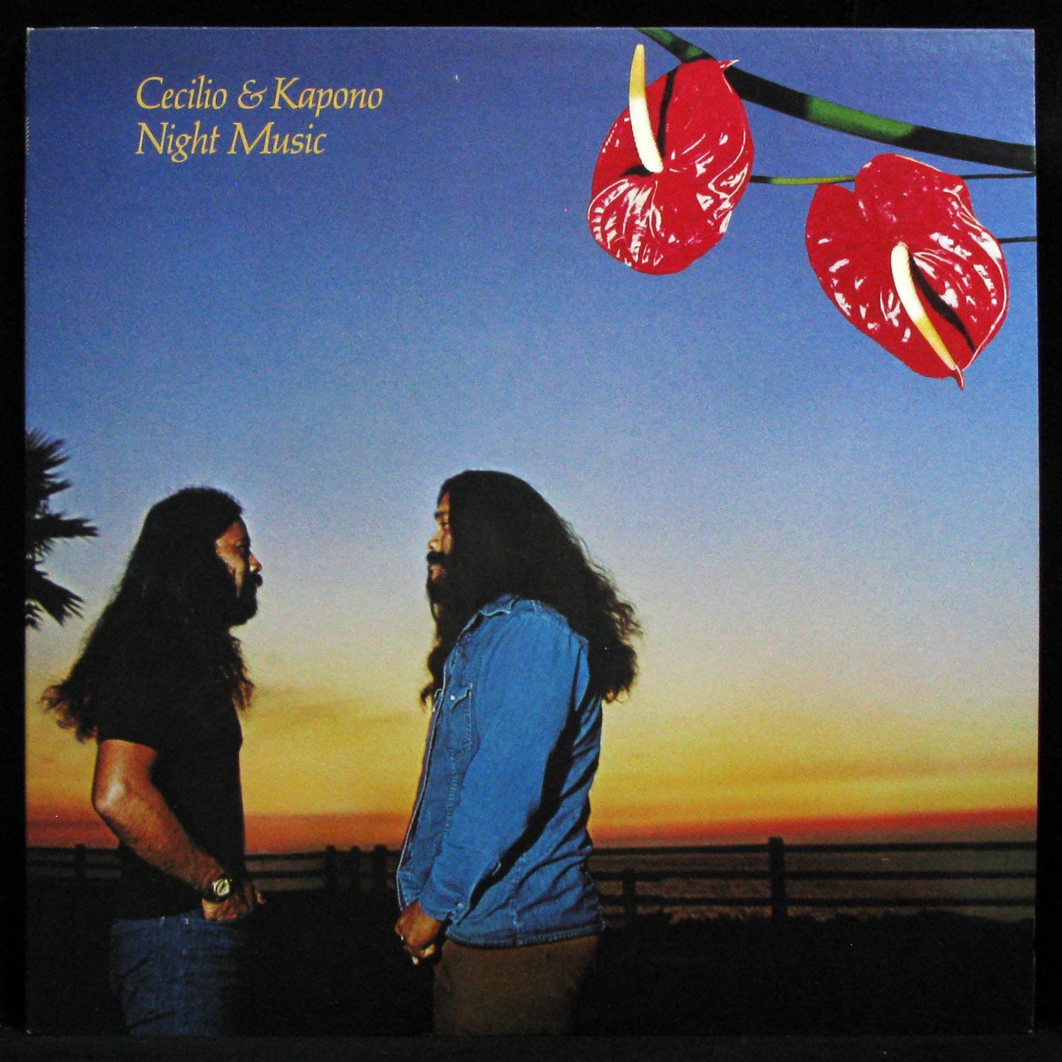 LP Cecilio & Kapono — Night Music фото