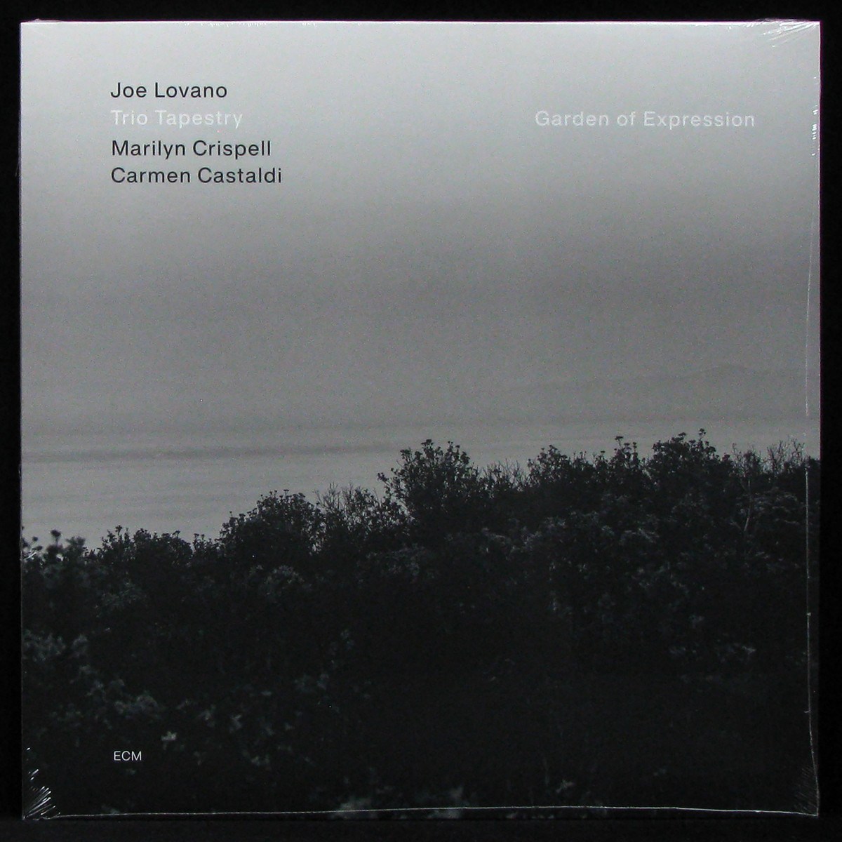 LP Joe Lovano / Trio Tapestry / Marilyn Crispell / Carmen Castaldi — Garden Of Expression фото