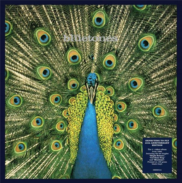LP Bluetones — Expecting To Fly фото