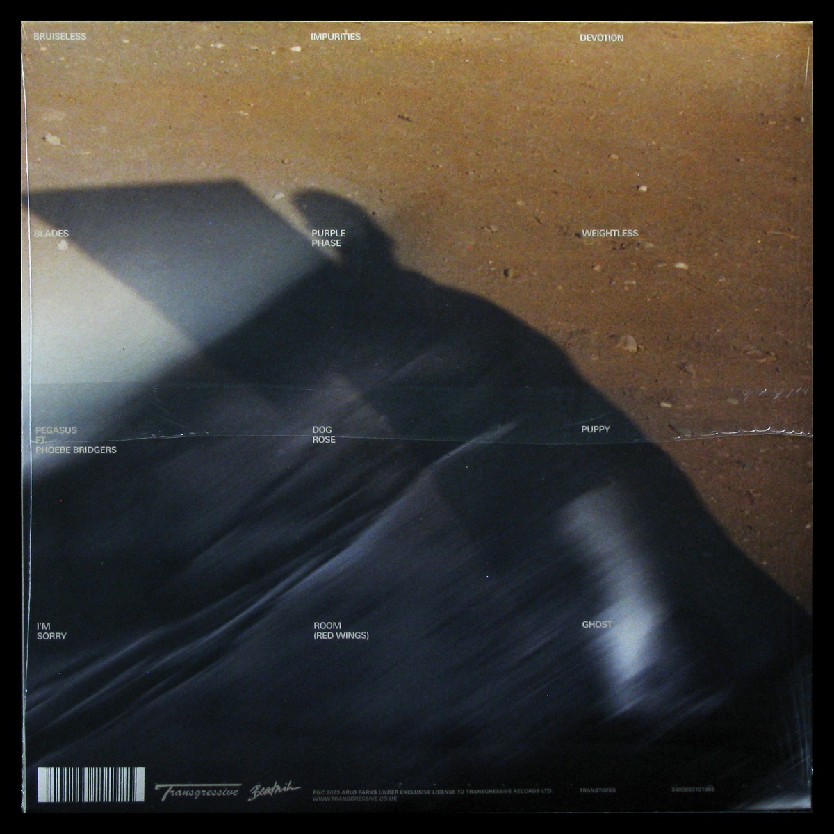 LP Arlo Parks — My Soft Machine фото 2