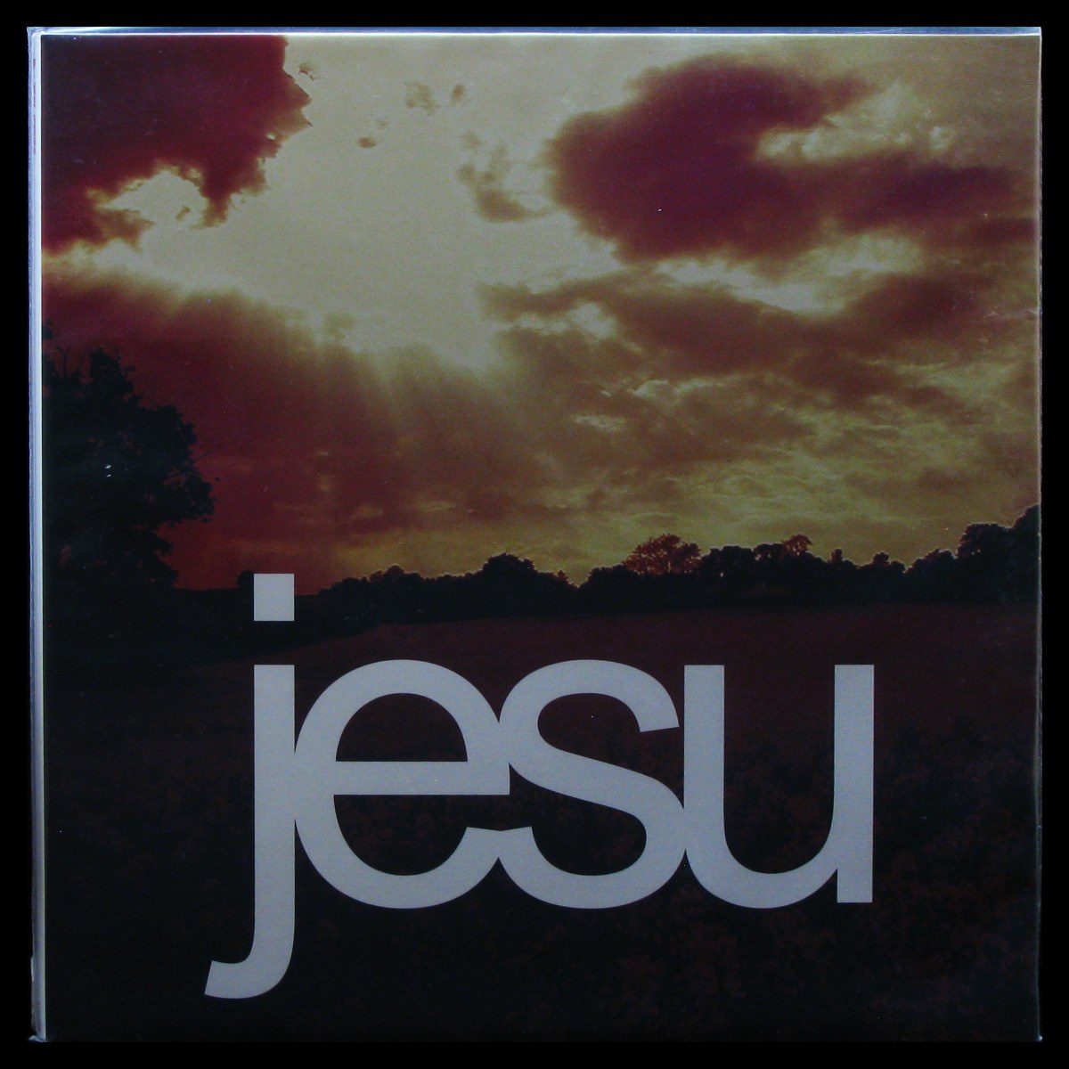LP Jesu — Heart Ache (Remaster Deluxe) (2LP) фото