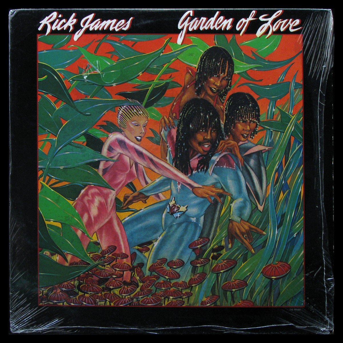 LP Rick James — Garden Of Love фото