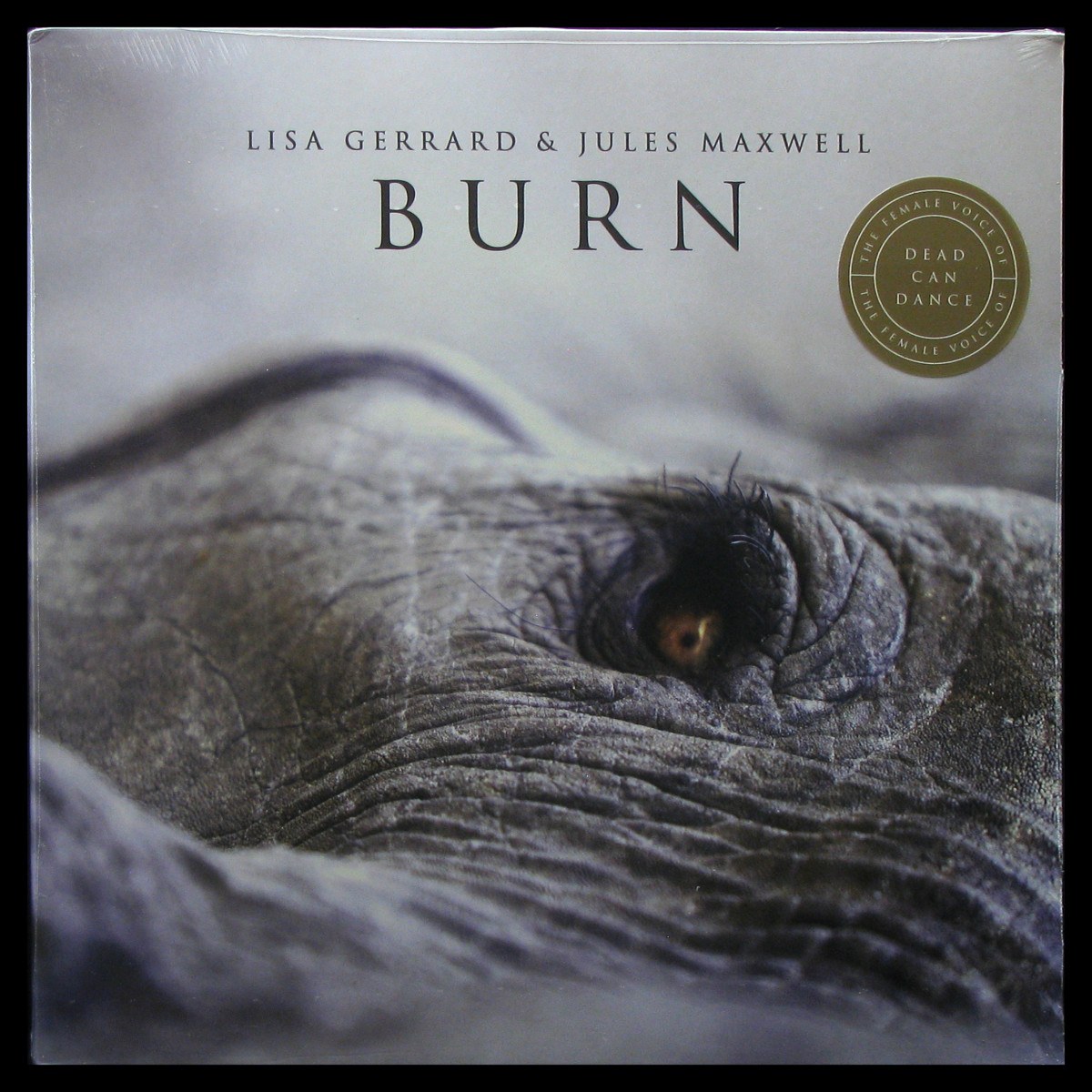 LP Lisa Gerrard / Jules Maxwell — Burn (coloured vinyl) фото