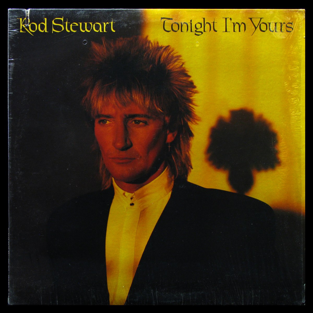LP Rod Stewart — Tonight I'm Yours фото