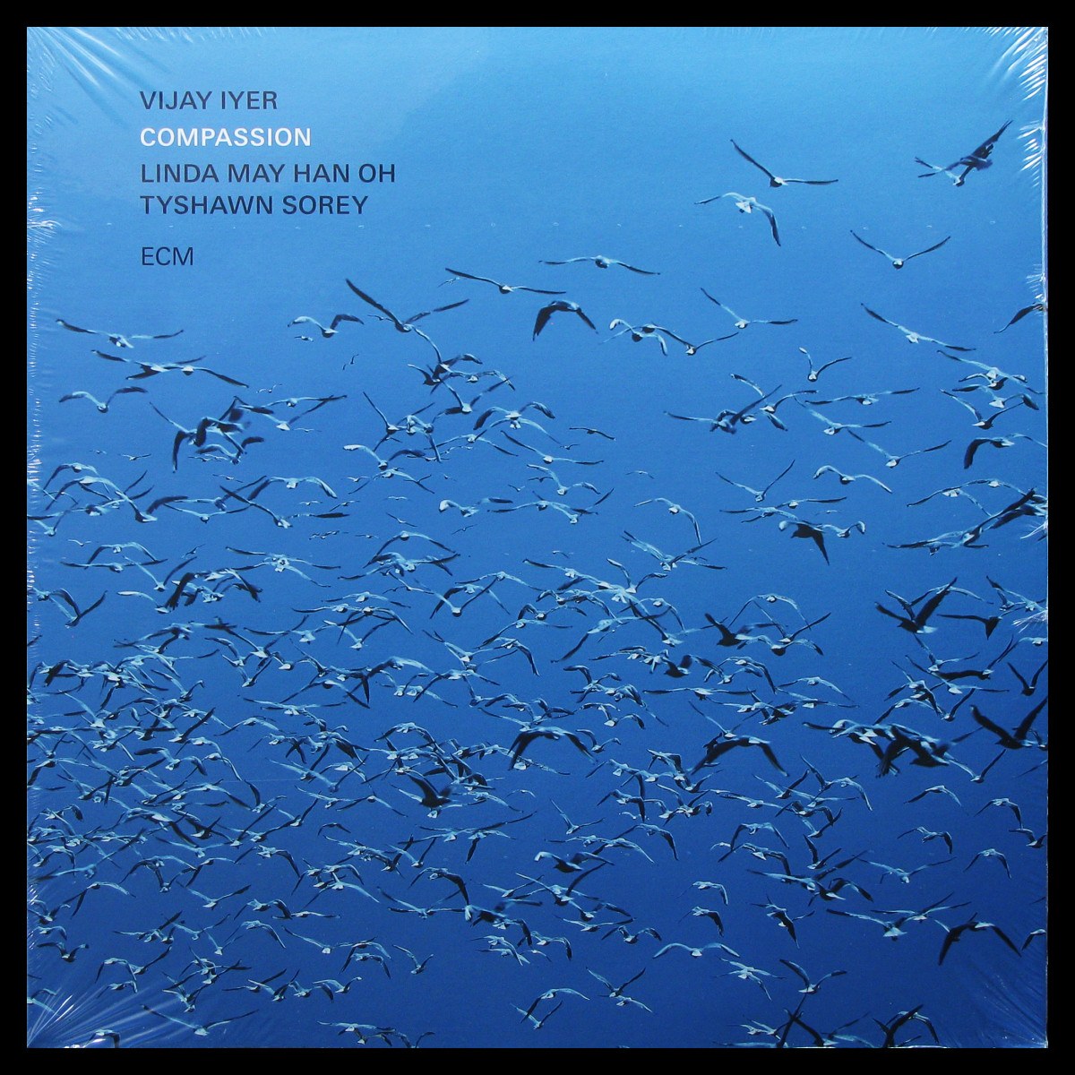 LP Vijay Iyer / Linda Oh / Tyshawn Sorey — Compassion (2LP) фото