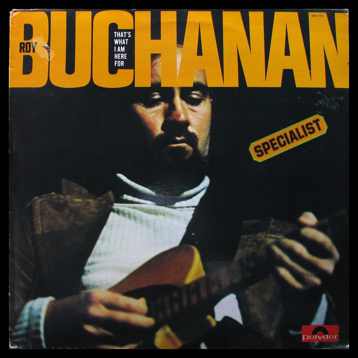 LP Roy Buchanan — That's What I Am Here For фото