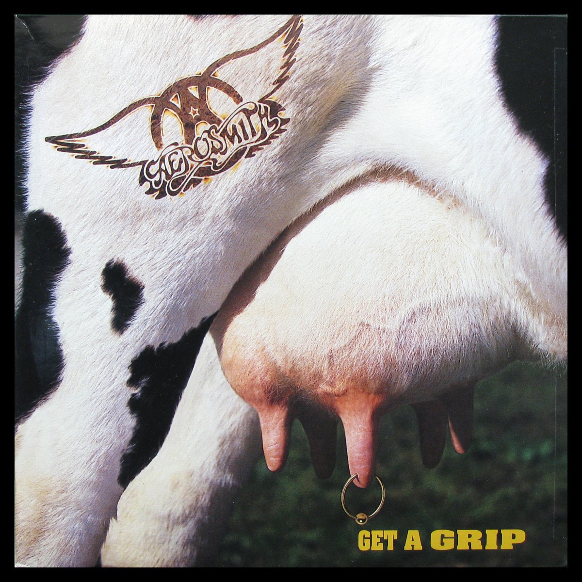 LP Aerosmith — Get A Grip (2LP) фото