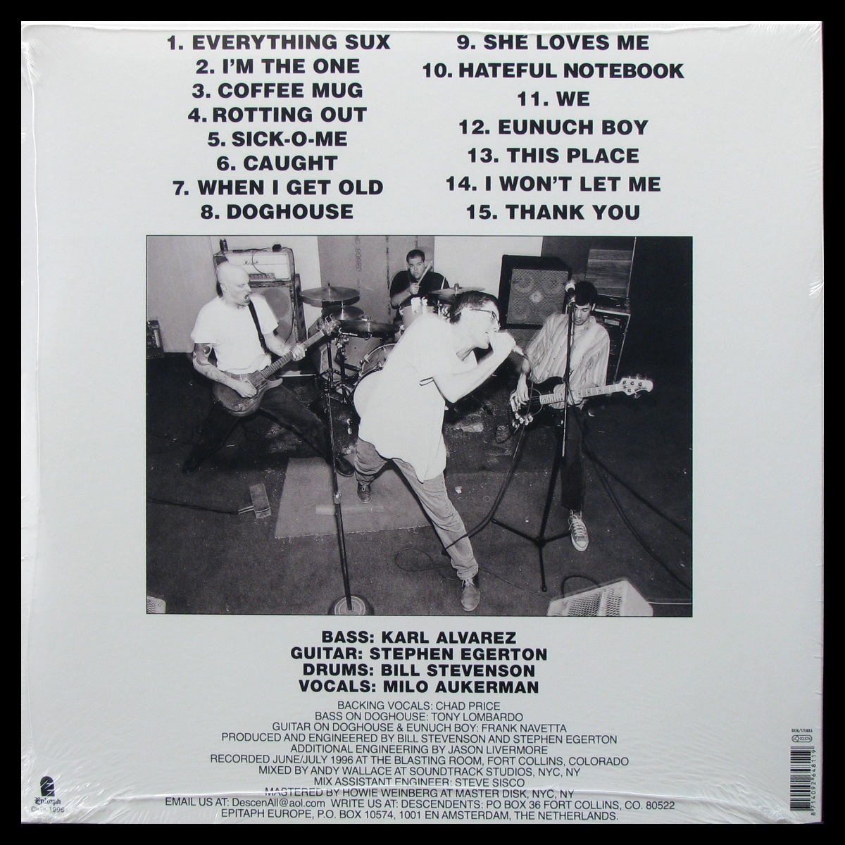 LP Descendents — Everything Sucks фото 2