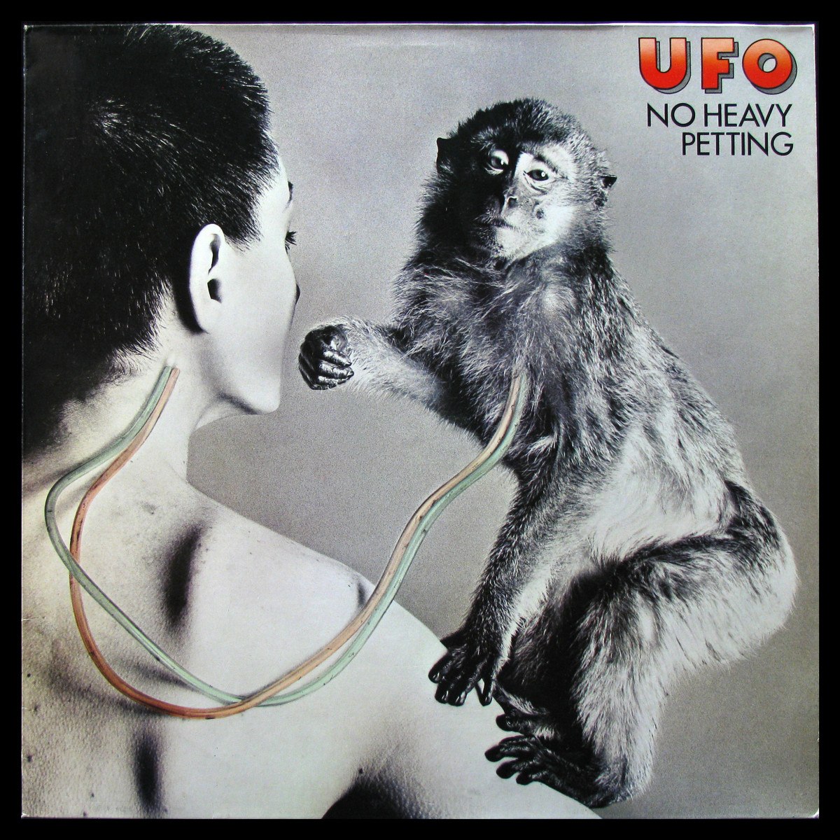 LP UFO — No Heavy Petting фото