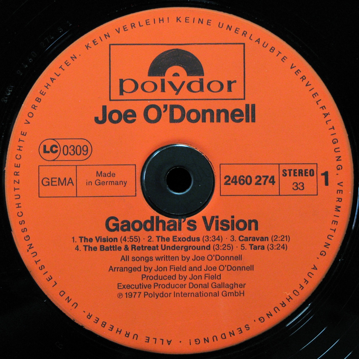 LP Joe O'Donnel — Gaodhal's Vision фото 2