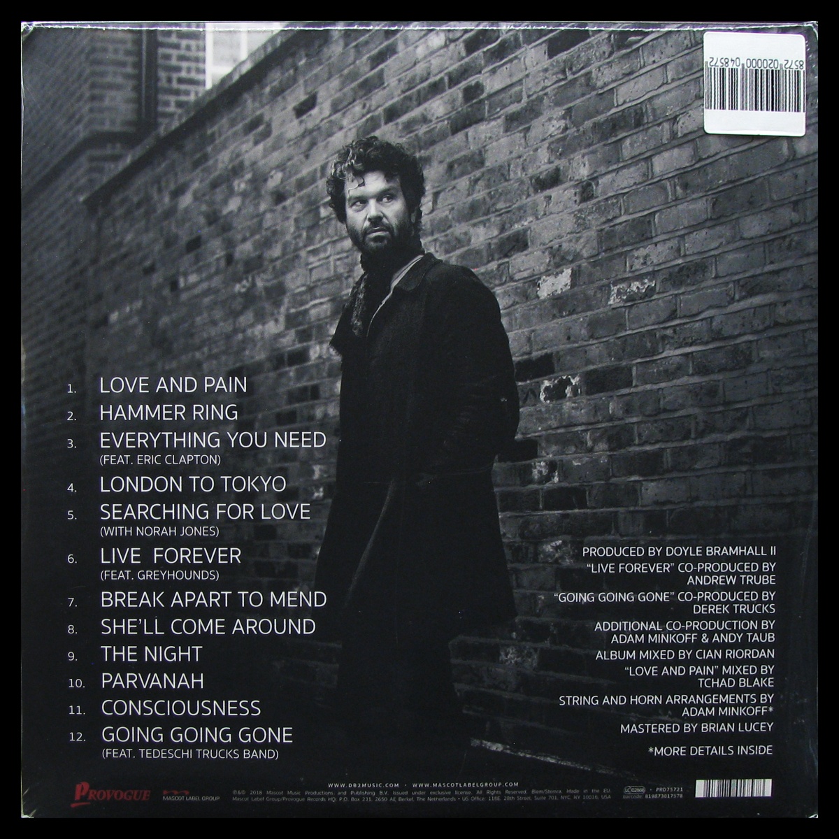 LP Doyle Bramhall II — Shades (2LP) фото 2