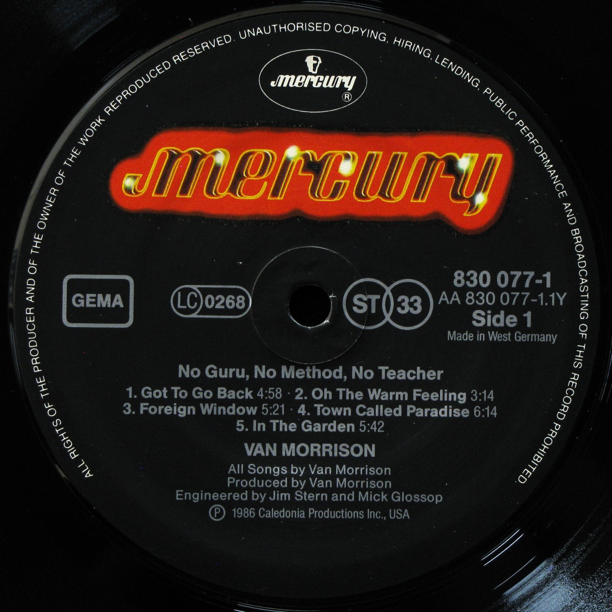 LP Van Morrison — No Guru, No Method, No Teacher фото 2