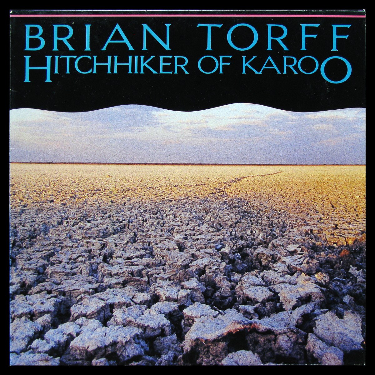 LP Brian Torff — Hitchhiker Of Karoo фото