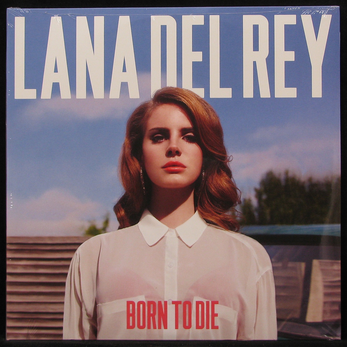 LP Lana Del Rey — Born To Die (2LP) фото