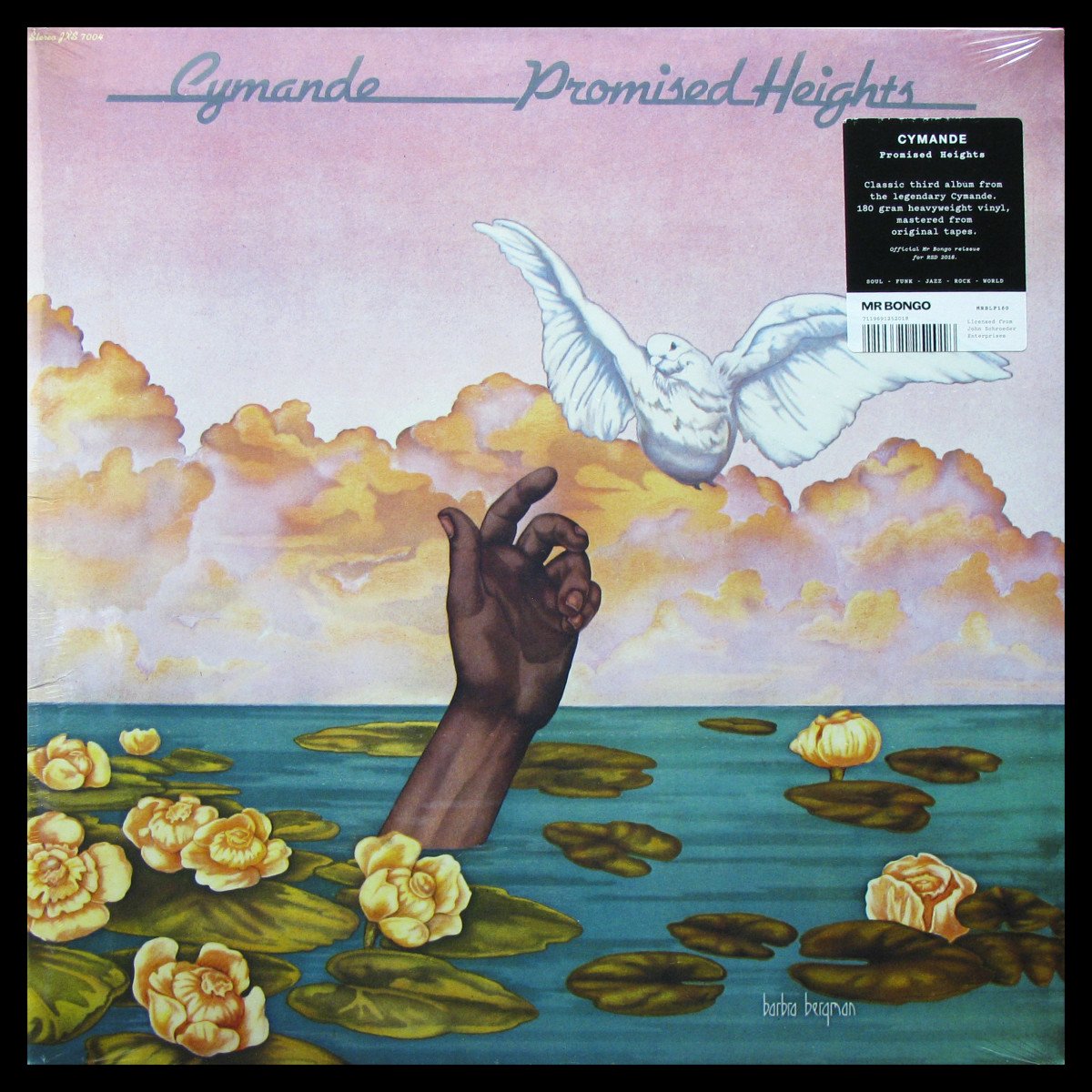 LP Cymande — Promised Heights фото