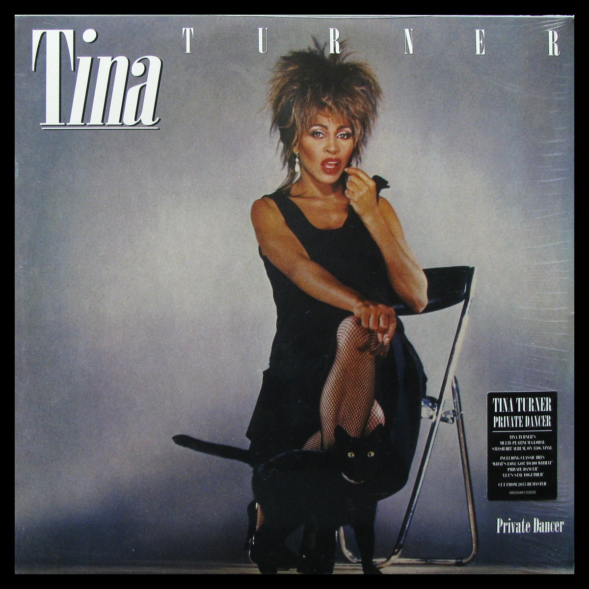 LP Tina Turner — Private Dancer фото