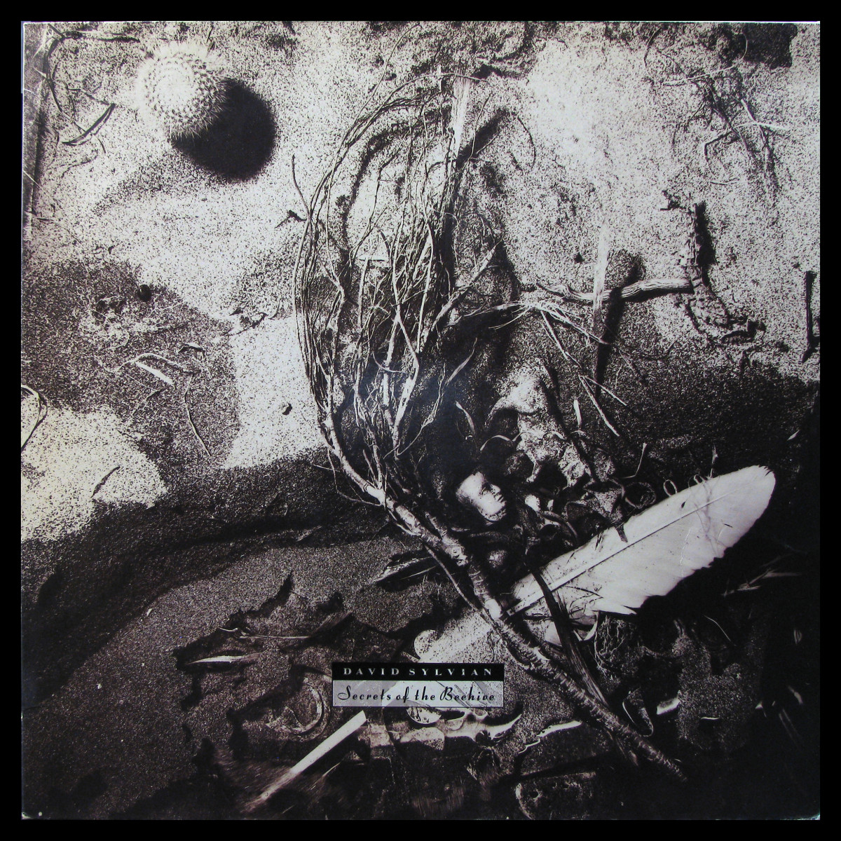 LP David Sylvian — Secrets Of The Beehive фото