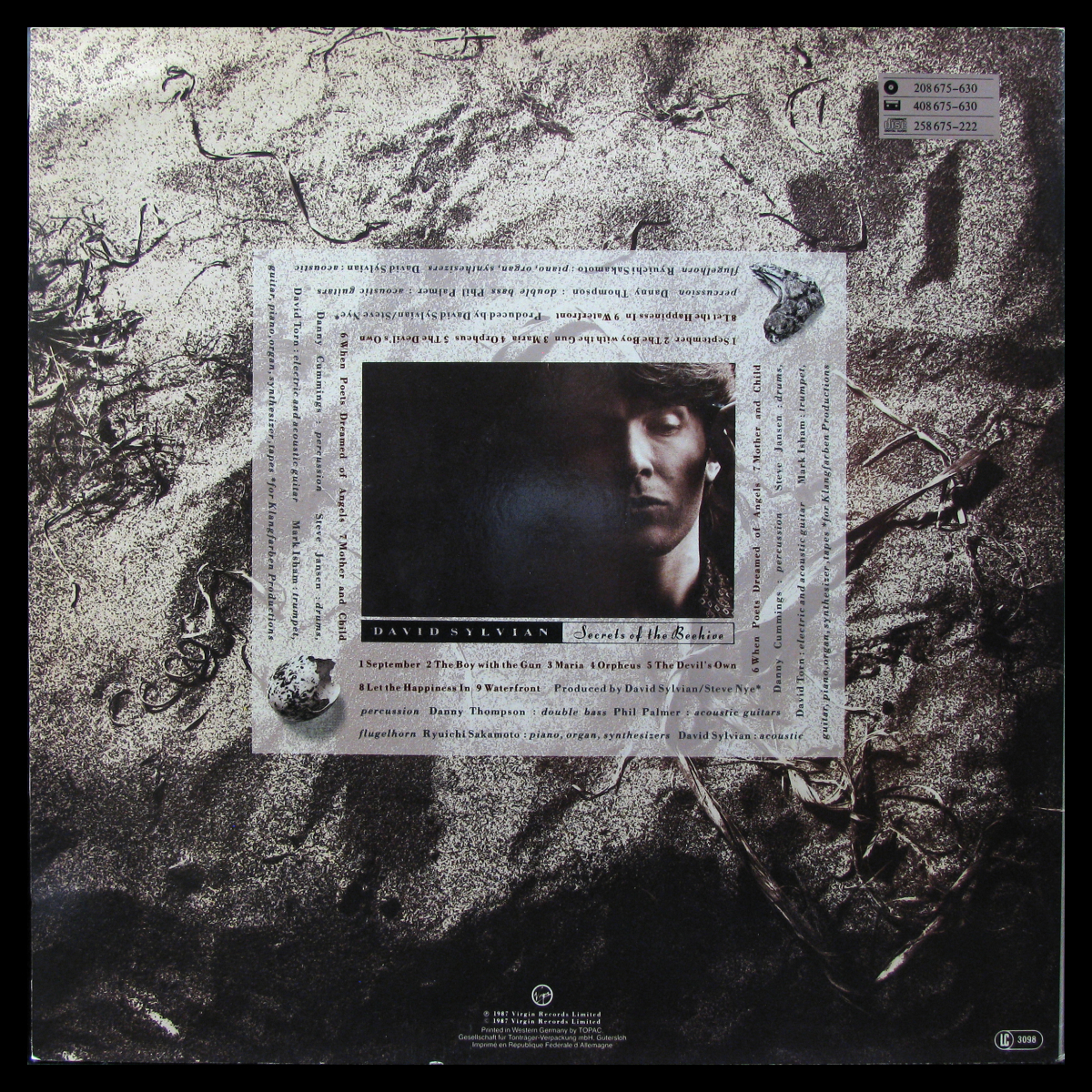 LP David Sylvian — Secrets Of The Beehive фото 2