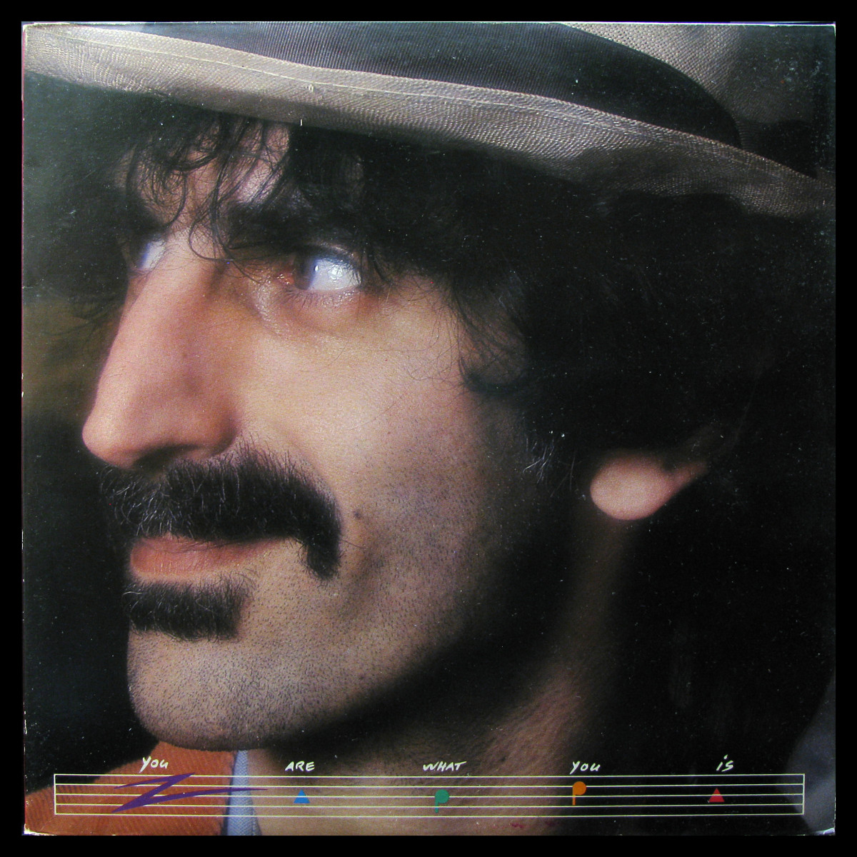 LP Frank Zappa — You Are What You Is (2LP) фото