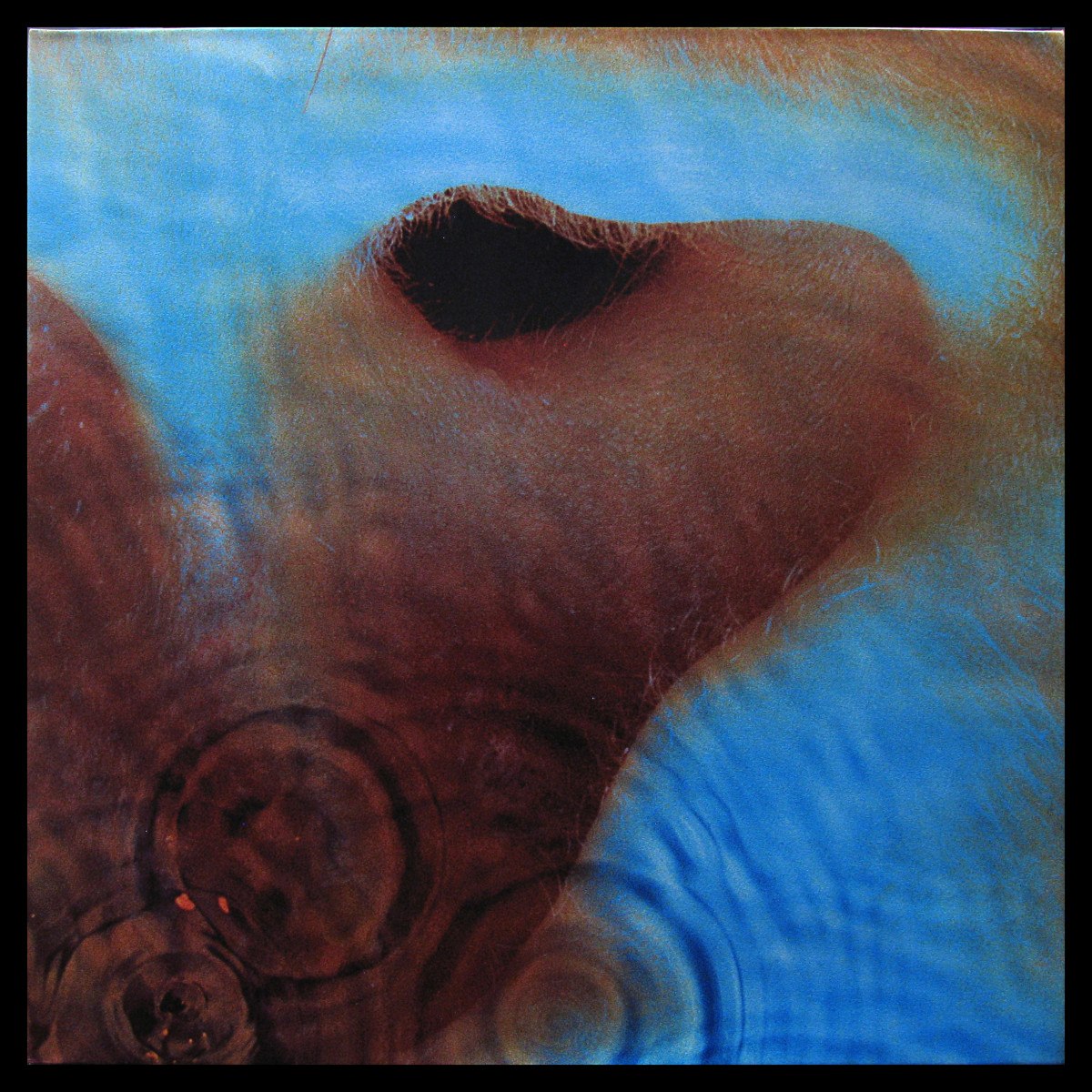 LP Pink Floyd — Meddle фото