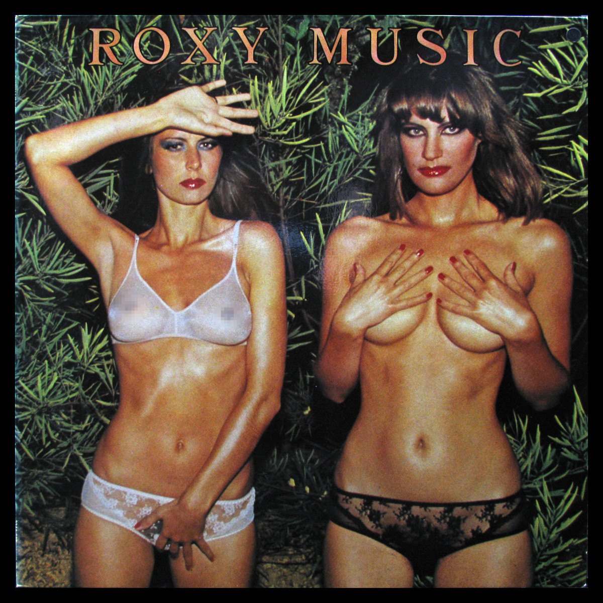 LP Roxy Music — Country Life фото