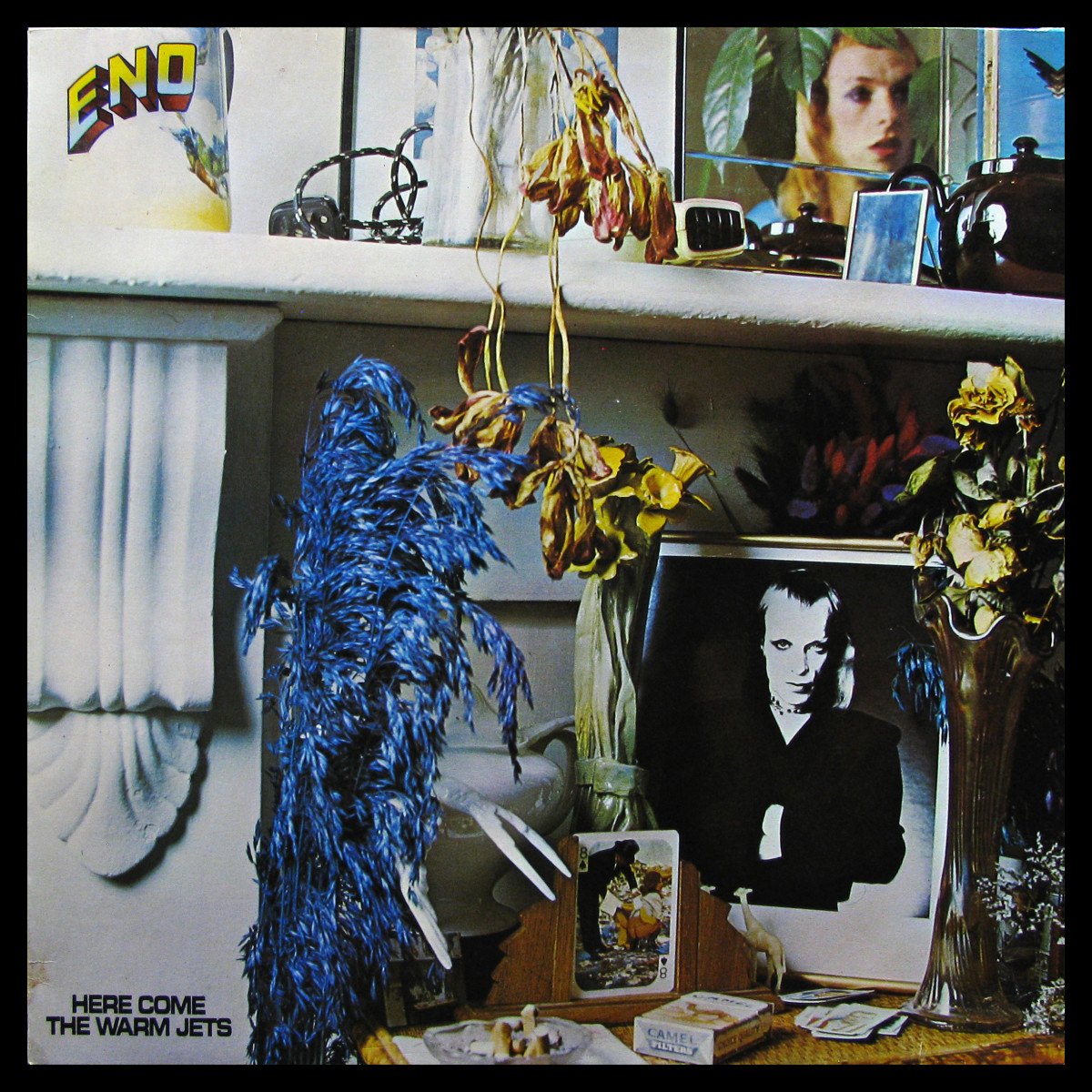 LP Brian Eno — Here Comes The Warm Jets фото