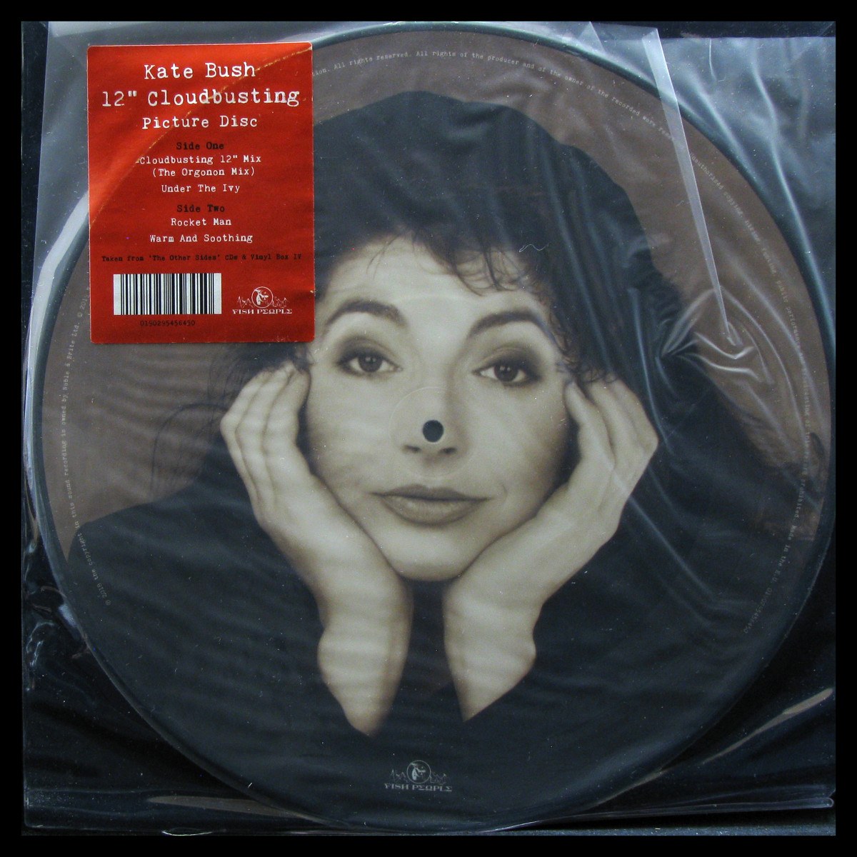 LP Kate Bush — Cloudbusting (picture disc) фото