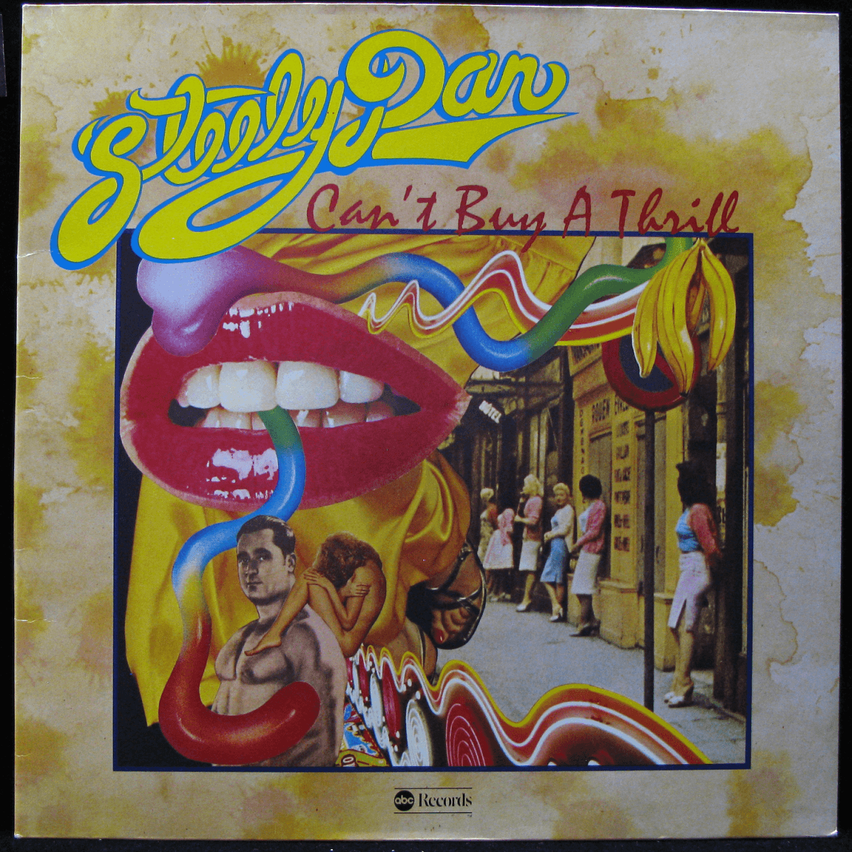 LP Steely Dan — Can't Buy A Thrill фото