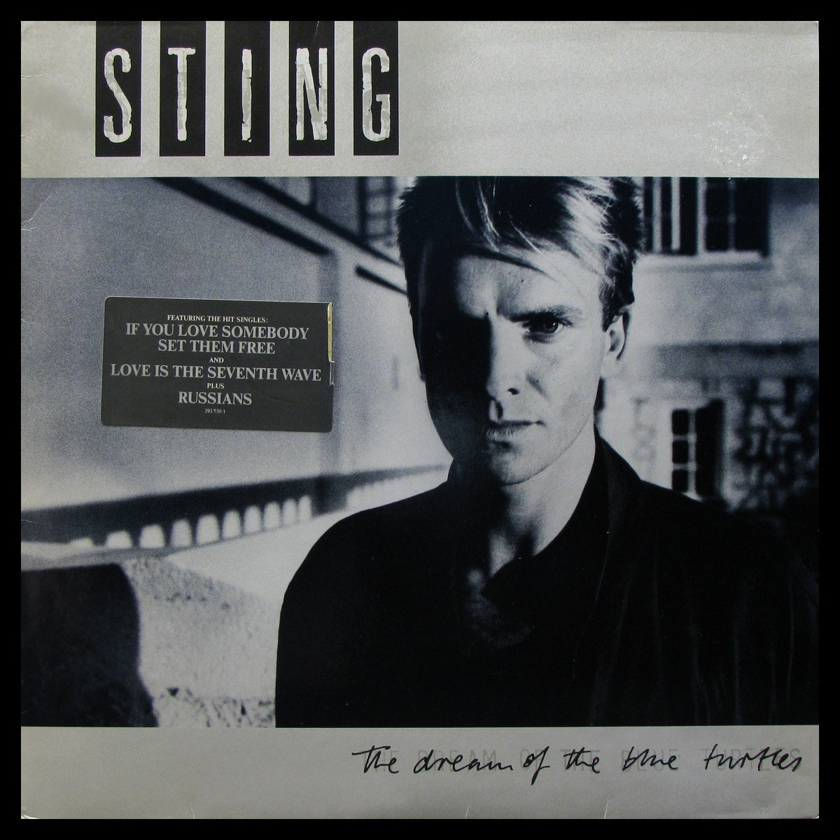 LP Sting — Dream Of The Blue Turtles фото