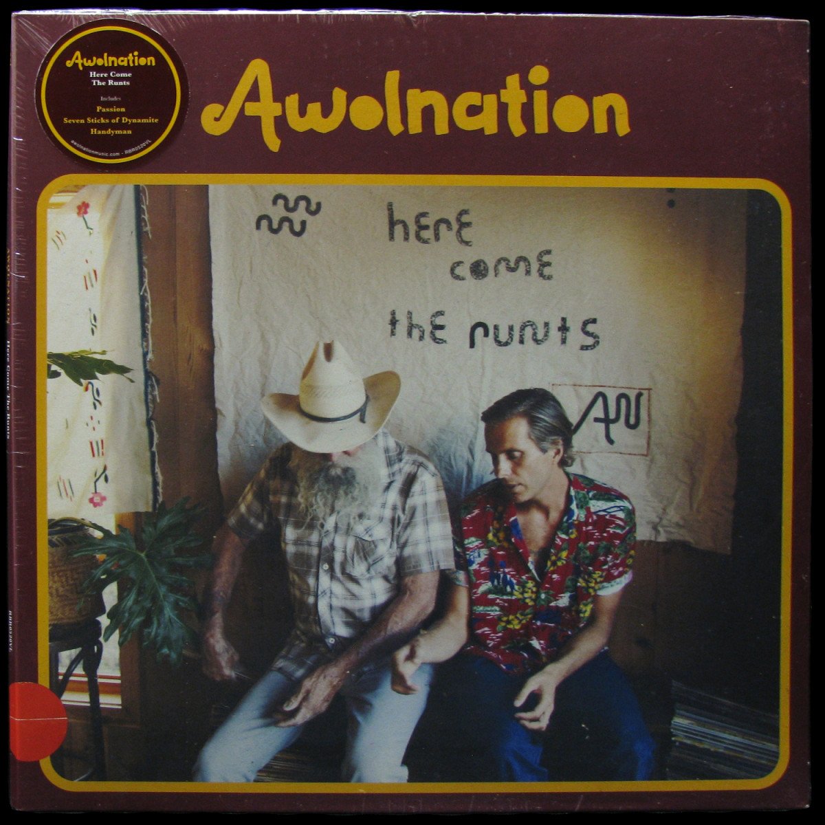 LP Awolnation — Here Come The Runts фото