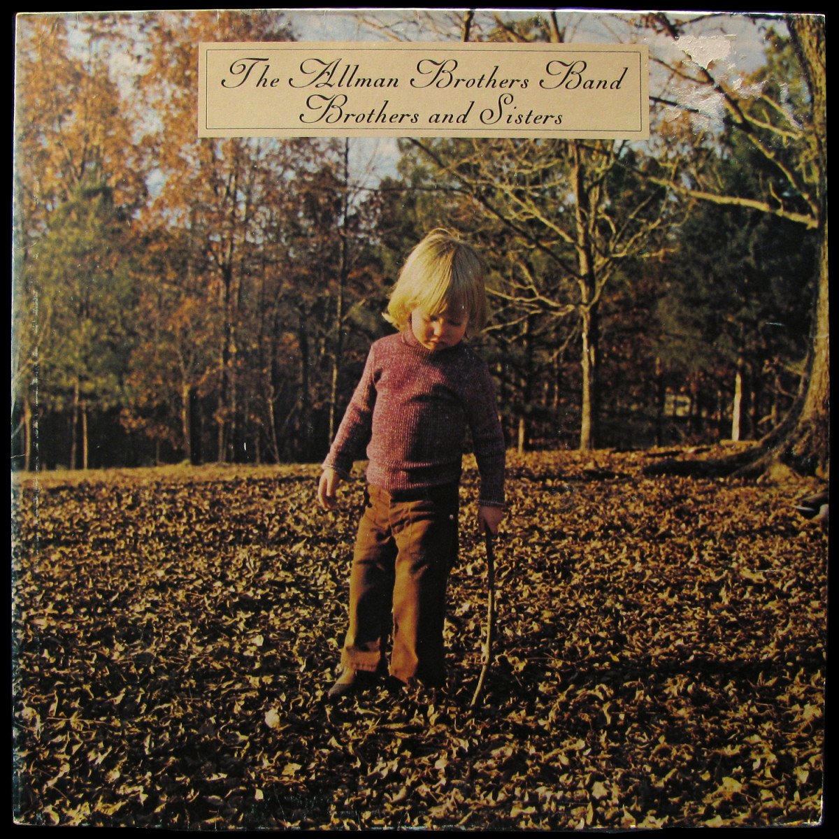 LP Allman Brothers Band — Brothers And Sisters фото