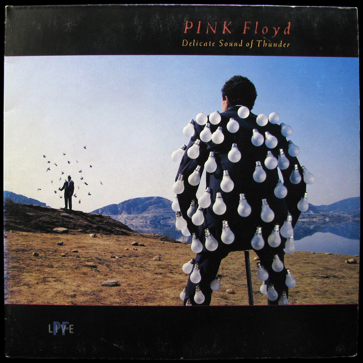 LP Pink Floyd — Delicate Sound Of Thunder (2LP) фото