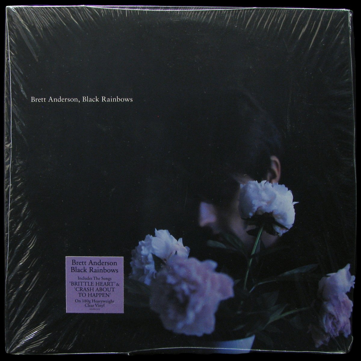 LP Brett Anderson — Black Rainbows (coloured vinyl) фото