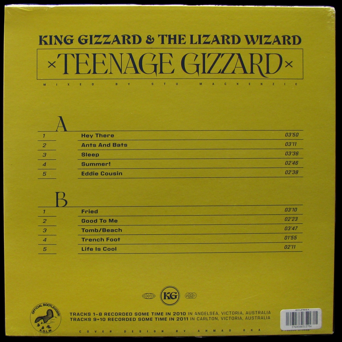 LP King Gizzard And The Lizard Wizard — Teenage Gizzard (coloured vinyl) фото 2