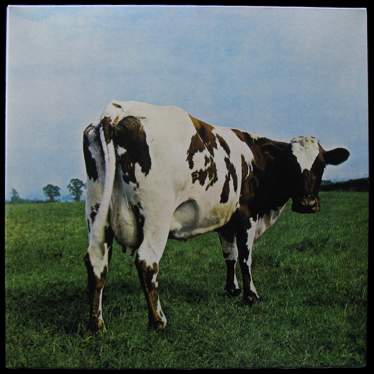 LP Pink Floyd — Atom Heart Mother фото