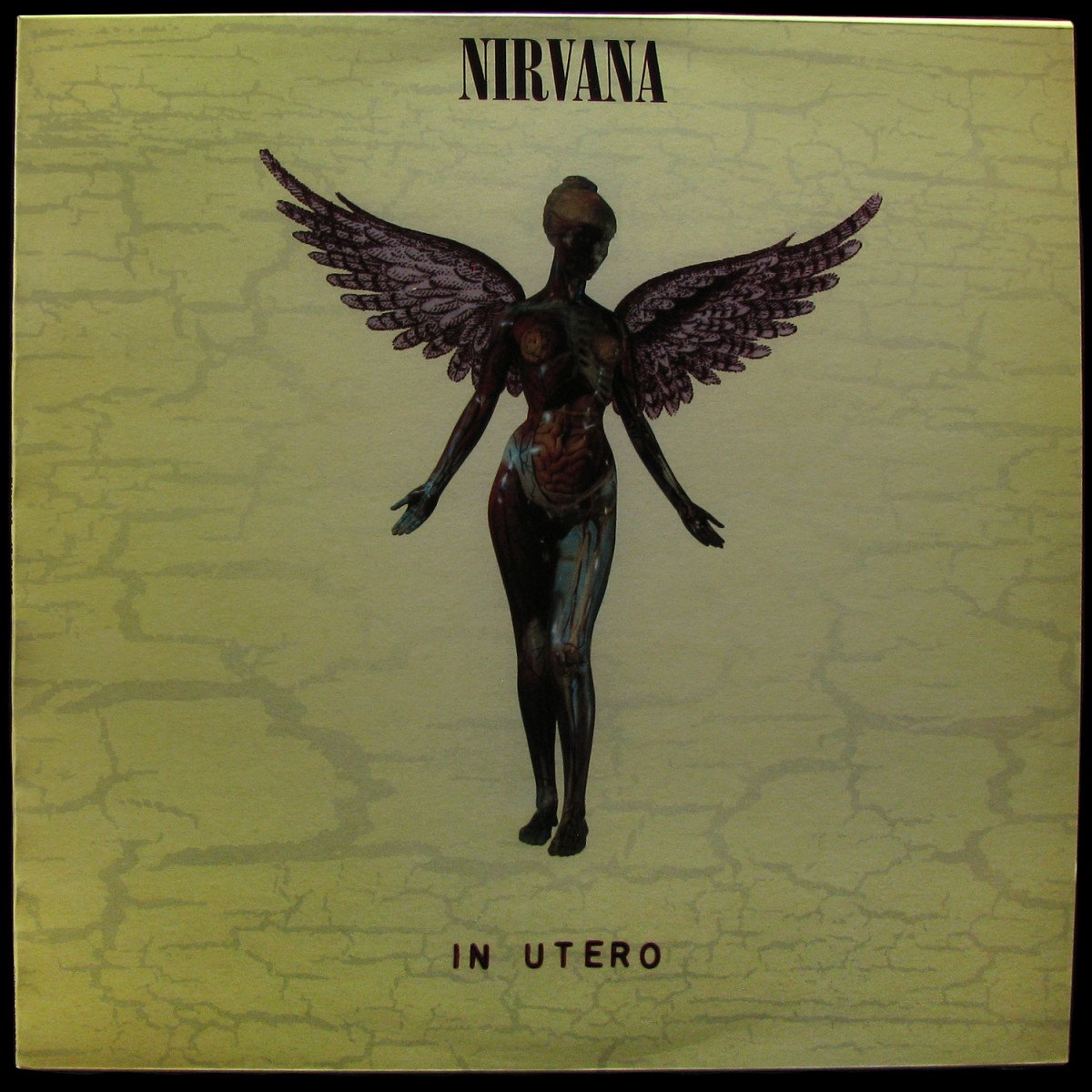 In Utero