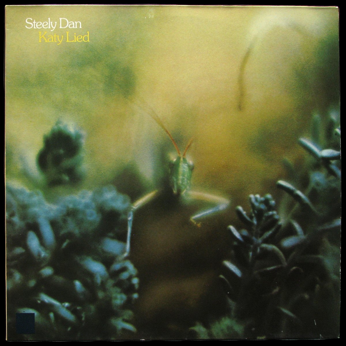 LP Steely Dan — Katy Lied фото