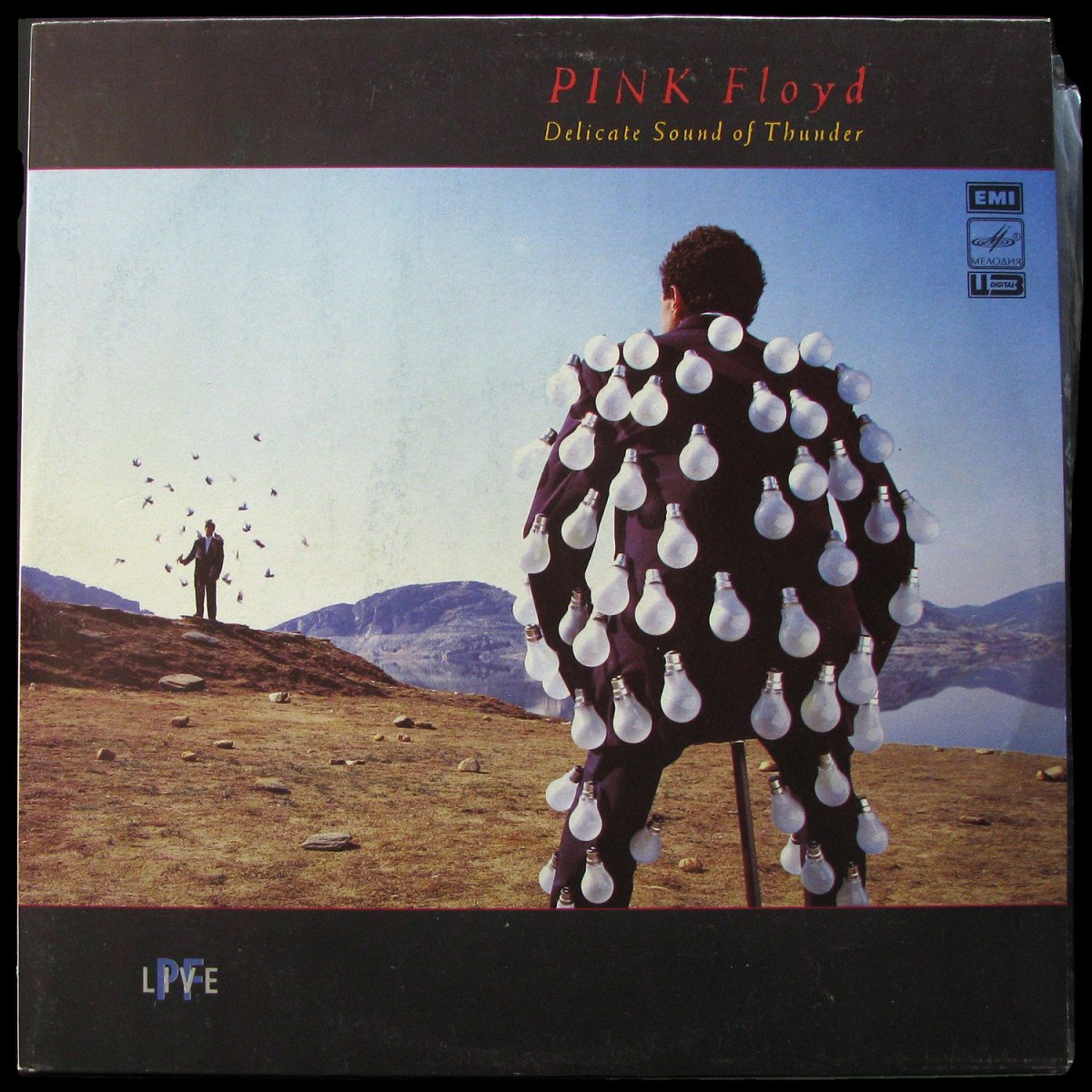 LP Pink Floyd — Delicate Sound Of Thunder (2LP) фото