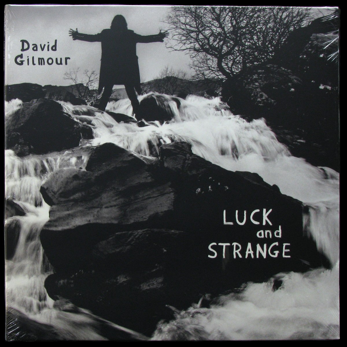 LP David Gilmour — Luck And Strange фото